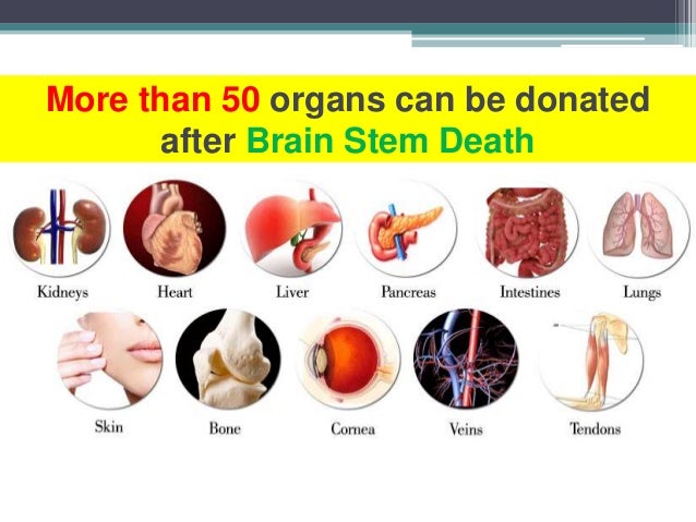 donating organs after death essay Organ donation essay sample organ donation after death is a contentious issue both in new zealand and internationally initiating a nationwide organ donation policy. donating organs after death essay Organ donation essay sample organ donation after death is a contentious issue both in new zealand and internationally initiating a nationwide organ donation policy.